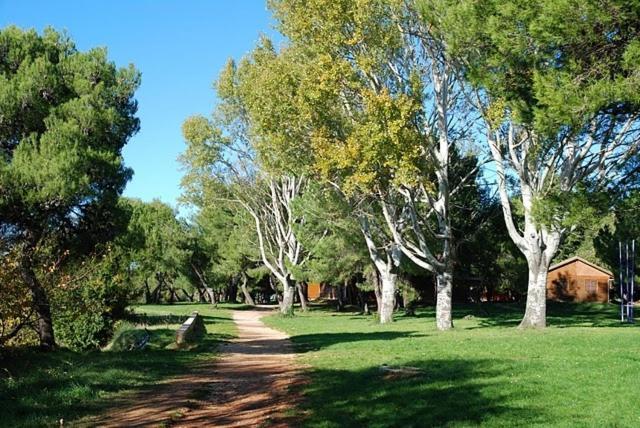 Bungalow Leo Савудрия Экстерьер фото