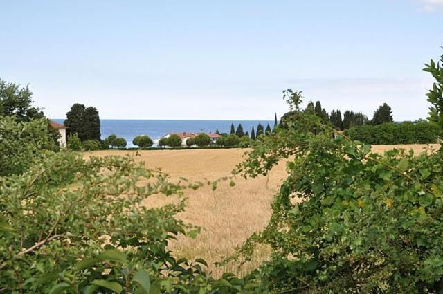 Bungalow Leo Савудрия Экстерьер фото